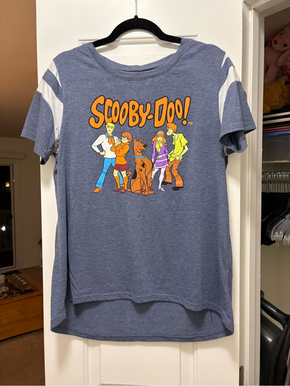 Scooby-Doo Juniors Graphic Tee - Blue